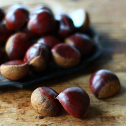 栗 chestnut