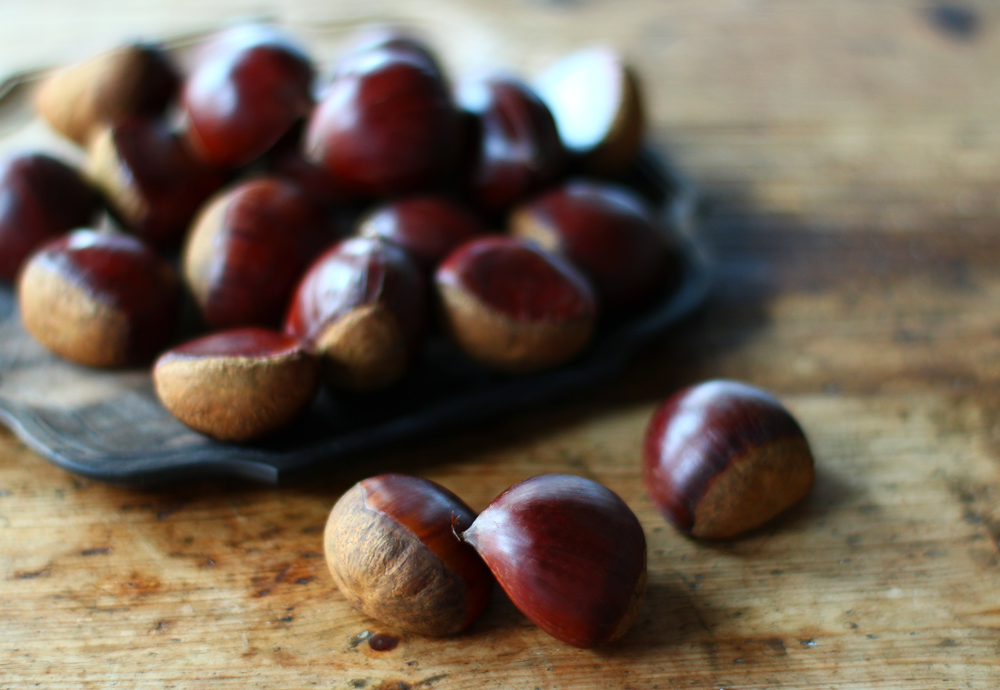栗 chestnut