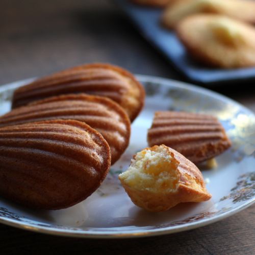 オレンジピールのマドレーヌ｜Orange Peel Madeleines