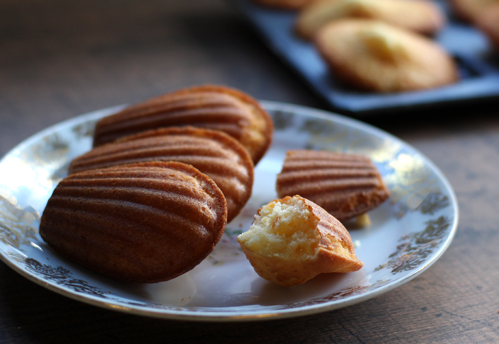 オレンジピールのマドレーヌ｜Orange Peel Madeleines