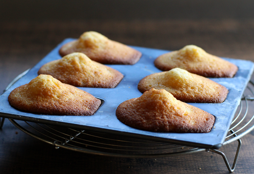 オレンジピールのマドレーヌ｜Orange Peel Madeleines