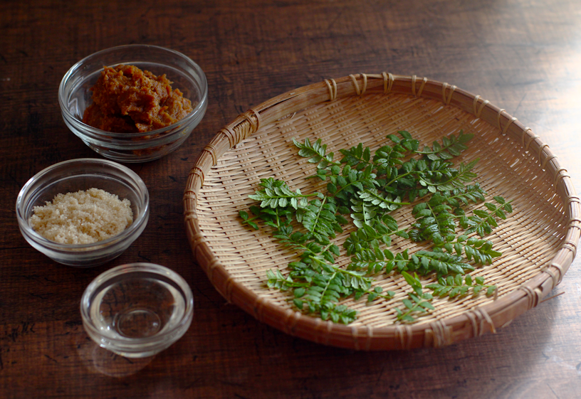 木の芽味噌レシピ| kinome miso recipe (miso mixed with leaf bud)