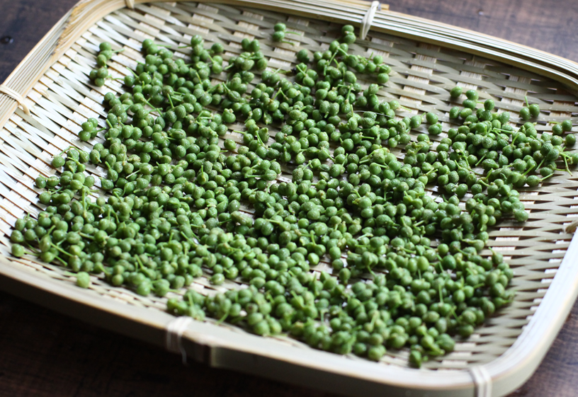 実山椒の下処理|Japanese pepper|eat at home jp